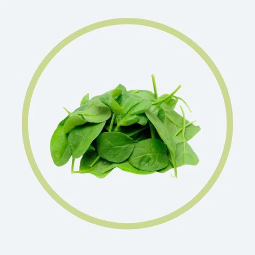Spinach